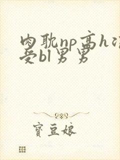 肉耽np高h浪受bl男男