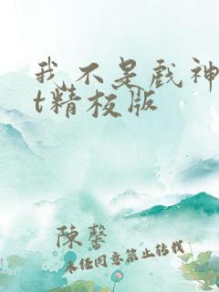 我不是戏神txt精校版