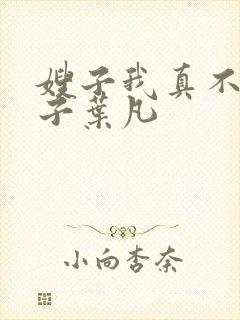 嫂子我真不是傻子叶凡