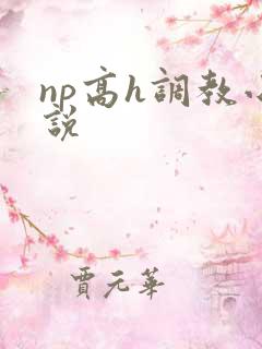 np高h调教小说