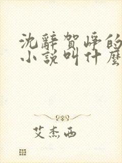 沈辞贺峥的军婚小说叫什么