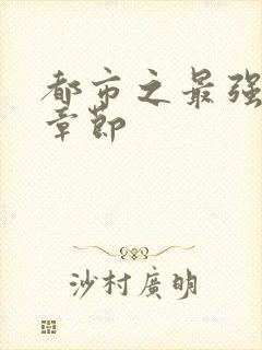 都市之最强狂兵章节