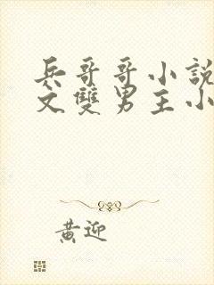 兵哥哥小说高干文双男主小说