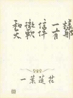 和微信一样的聊天软件有那些