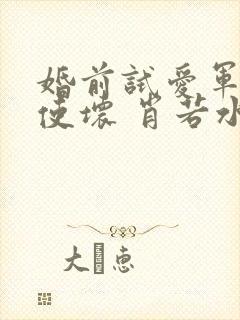 婚前试爱军长别使坏 肖若水