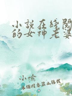 小说在线阅读我的女神老婆