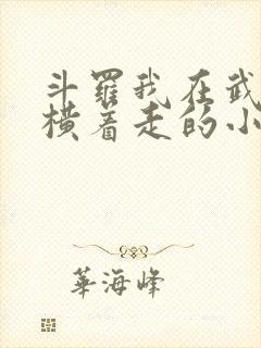 斗罗我在武魂殿横着走的小说