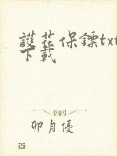 护花保镖txt下载