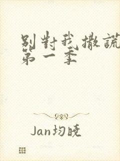 别对我撒谎美剧第一季