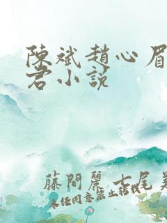 陈斌赵心眉高婉君小说