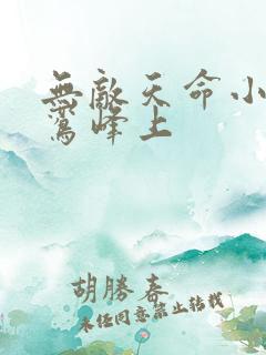 无敌天命小说青鸾峰上