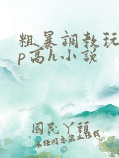 粗暴调教玩弄np高h小说