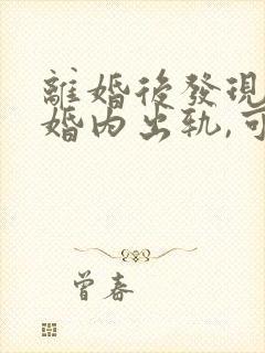 离婚后发现对方婚内出轨,可以起诉吗