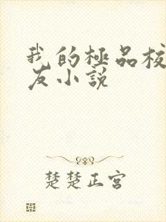 我的极品校花女友小说