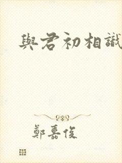 与君初相识原著