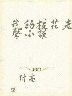 我的校花老婆有声小说