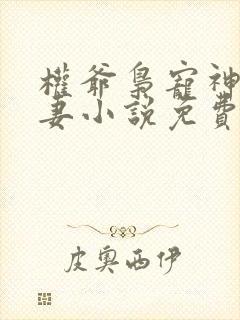 权爷枭宠神秘娇妻小说免费阅读