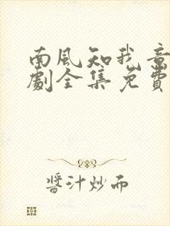 南风知我意电视剧全集免费