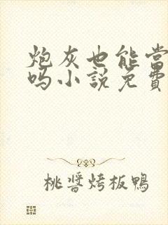 炮灰也能当老婆吗小说免费阅读