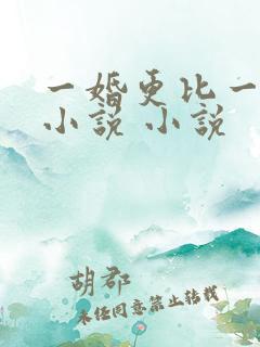 一婚更比一婚高小说 小说