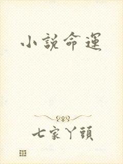 小说命运