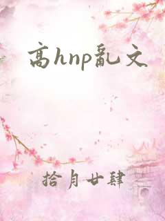 高hnp乱文