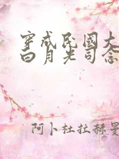 穿成民国大佬的白月光司念免费