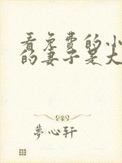 看免费的小说我的妻子是大乘期大佬