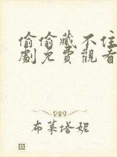 偷偷藏不住电视剧免费观看24