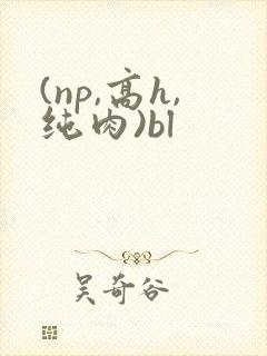 (np,高h,纯肉)bl