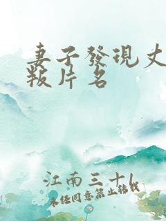 妻子发现丈夫背叛片名