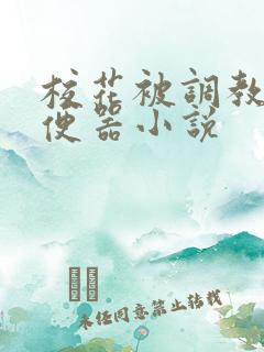 校花被调教成肉便器小说