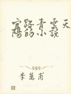 官路青云天骄叶阳的小说