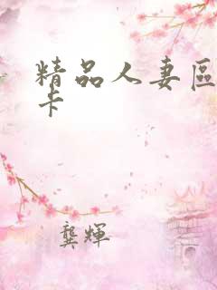 精品人妻区二不卡