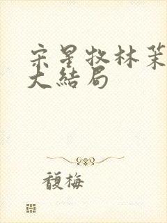 宋星牧林茉后续大结局