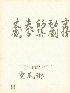 丈夫的秘密电视剧分集剧情介绍