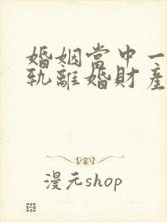 婚姻当中一方出轨离婚财产如何分配