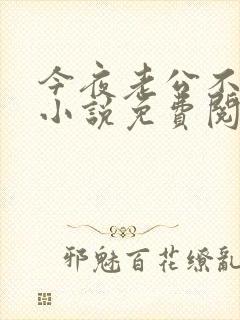 今夜老公不在家小说免费阅读