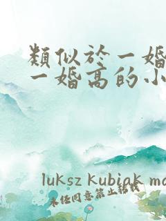 类似于一婚还比一婚高的小说