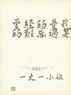 曾经的爱我也真的难忘过是什么歌