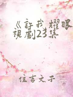 《许我耀眼》电视剧23集