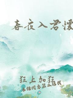 春夜入君怀张翅