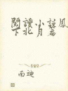 阅读小说凤逆天下北月篇