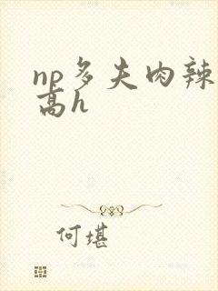 np多夫肉辣文高h