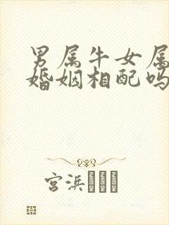男属牛女属鸡的婚姻相配吗