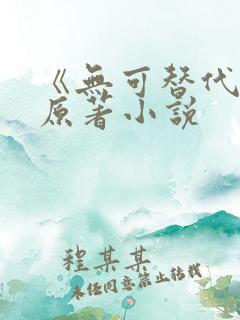 《无可替代》的原著小说