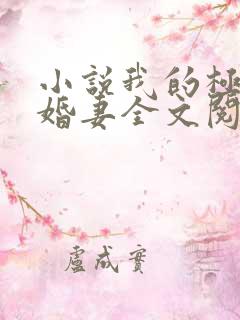 小说我的极品未婚妻全文阅读