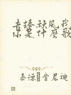 去捧秋风我在等你是什么歌