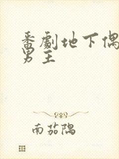 番剧地下偶像双男主