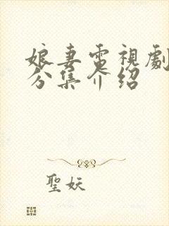 娘妻电视剧剧情分集介绍